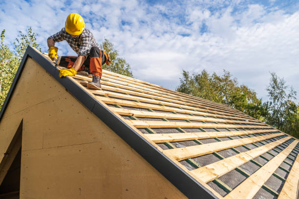 Best Gutter Installation and Roofing  in New Madison, OH