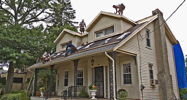 Best Roof Repair Specialists  in New Madison, OH